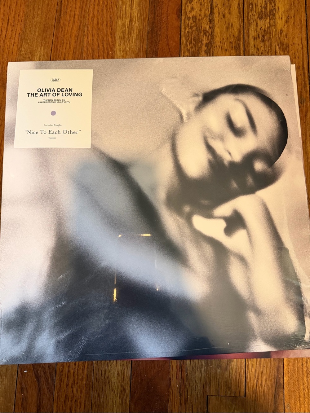 — The Art of Loving Vinyl (Black, Gray Sleeve)